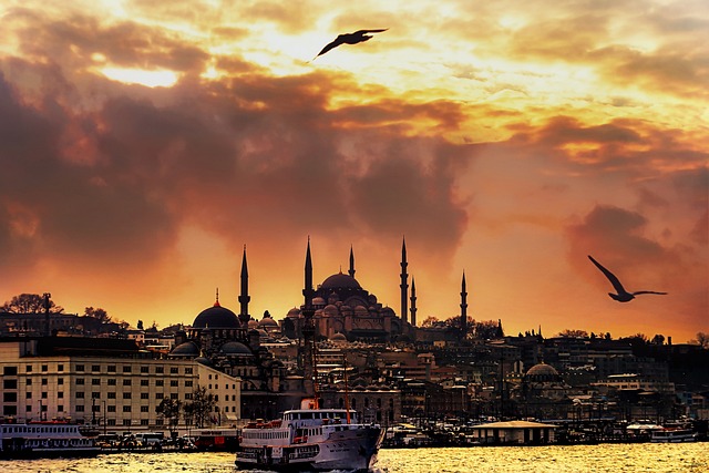 Yurt Dışında Eğitim İçin Gerekli Belgeler Yurt Dışında Eğitim İçin Gerekli Belgeler